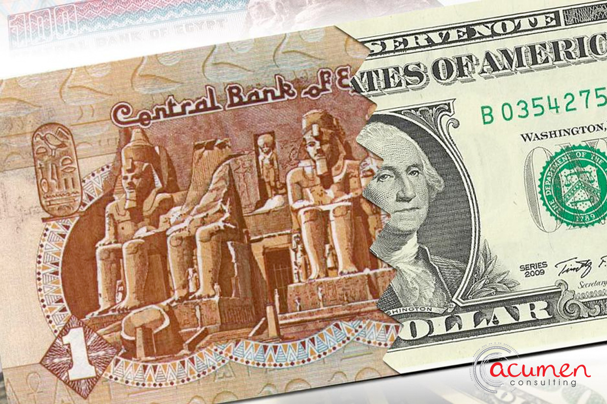 Египет евро или доллар. Египетский доллар. Египетские купюры. Египетский фунт к доллару. Рисунок Египетский фунт.